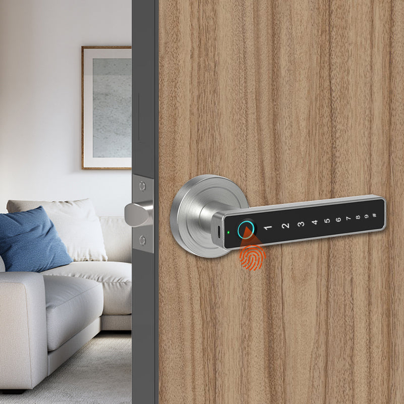 Smart Door Lock  Fingerprint Electric Handle And Sliding